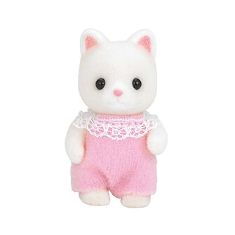 シルクネコの赤ちゃん