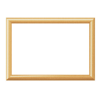 木製　ウッディーパネルエクセレント（ナチュラル300P）