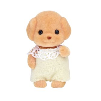 トイプードルの赤ちゃん