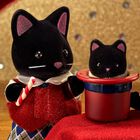 ほしぞらネコファミリー, hi-res image number 4