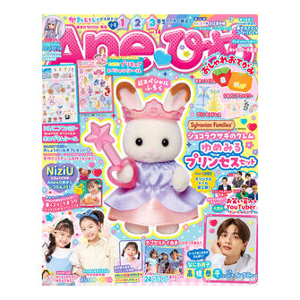 Aneひめvol.14