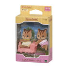 くるみリスのふたごちゃん, hi-res image number 2