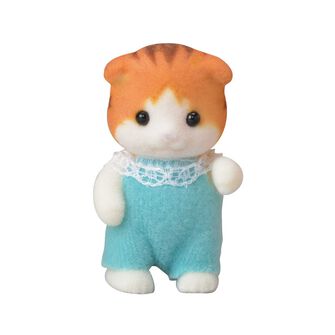 メイプルネコの赤ちゃん