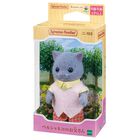 ペルシャネコのお父さん, hi-res image number 2