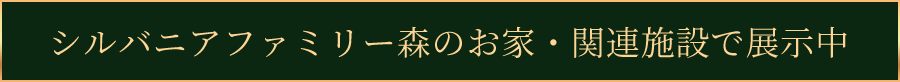 シルバニアファミリー森のお家・関連施設で展開中