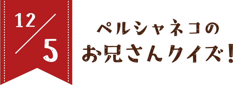 12/5 ペルシャネコのお兄さんクイズ！