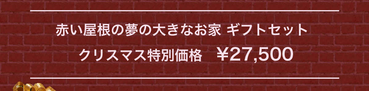 クリスマス特別価格　￥27,500