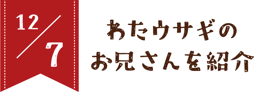 12/7 わたウサギのお兄さんを紹介