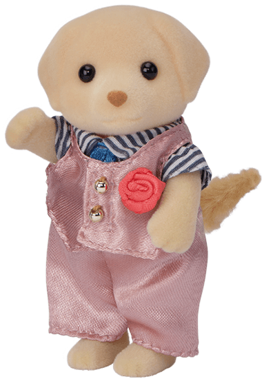 ラブラドールのお兄さんリアム